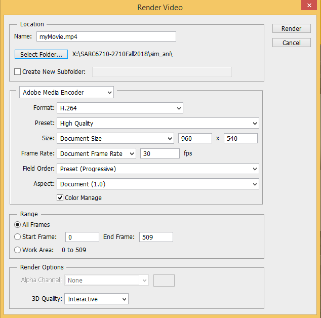 export video format