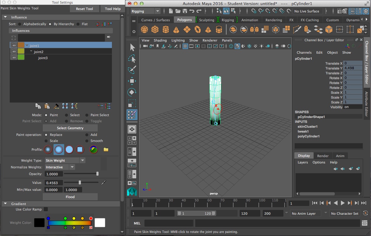 paint skin weights