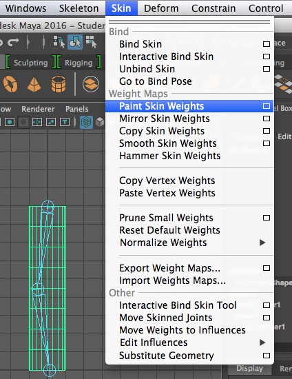 paint skin weights menu