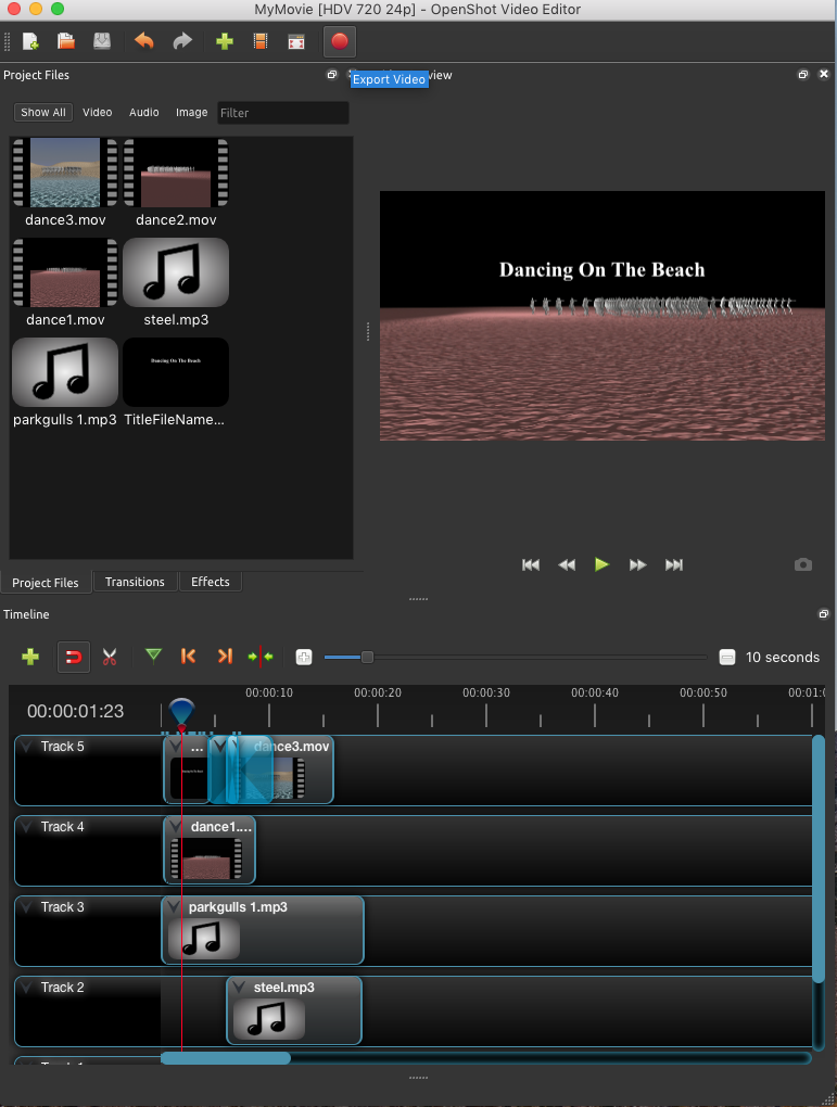 export video