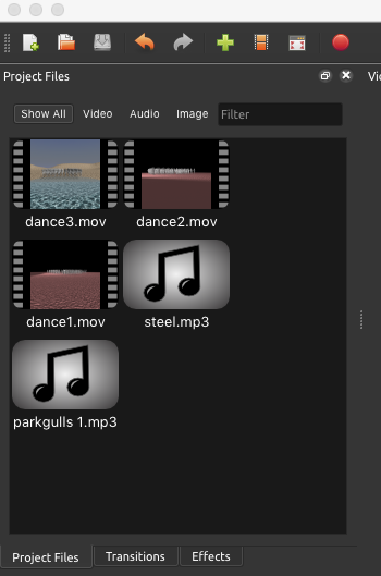 project files setup for editing