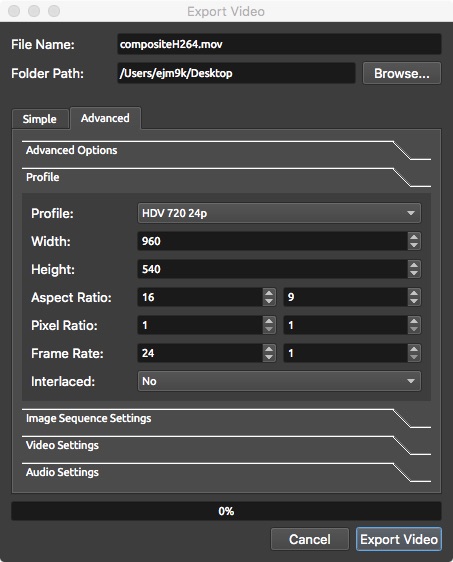 advanced settings for openshot export