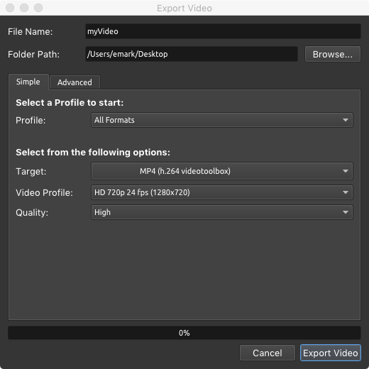 export video dialog