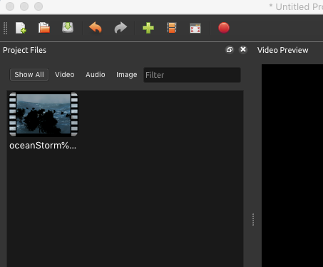 project files window