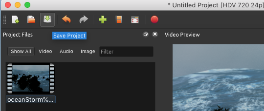 save project Icon