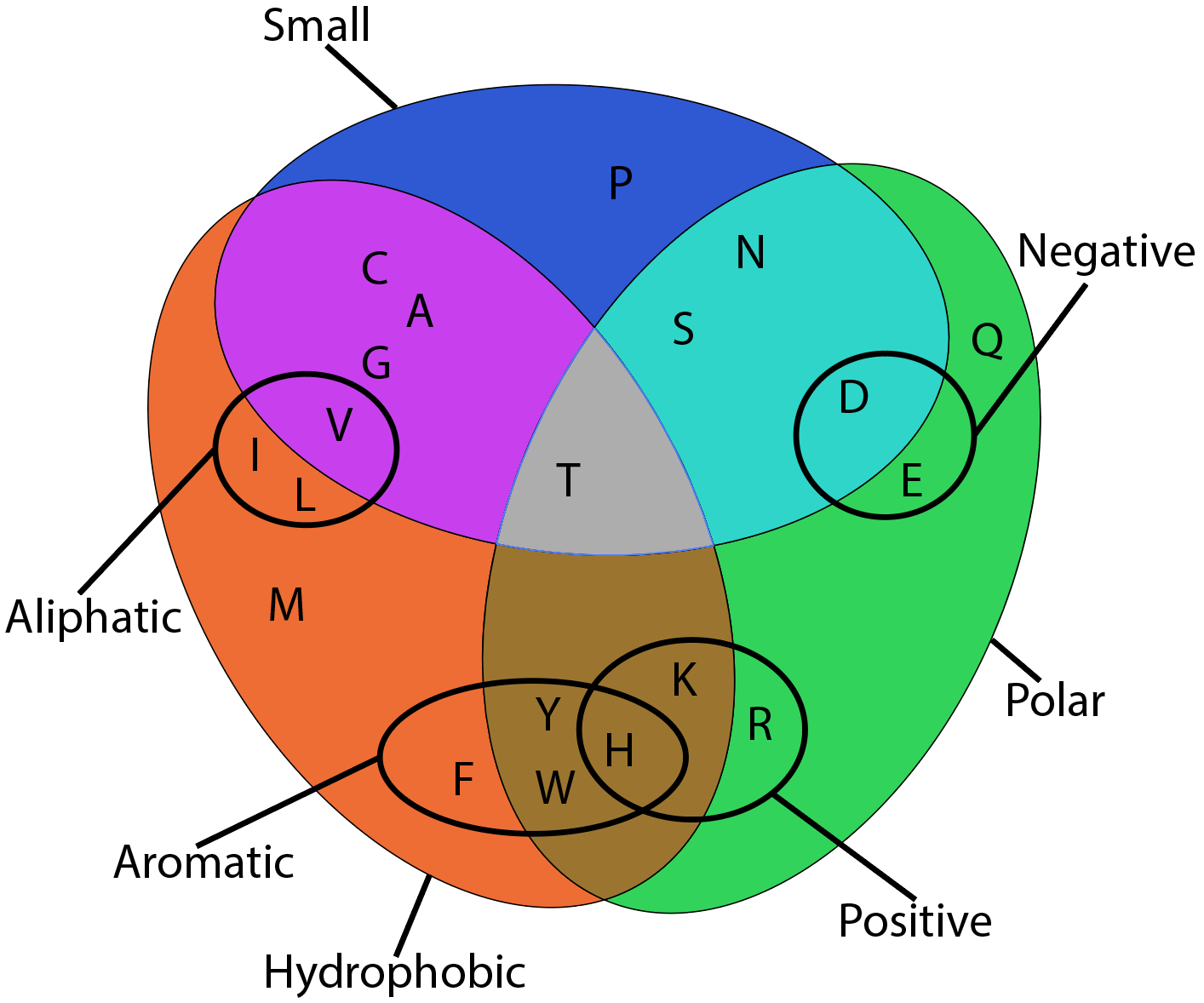 Color Venn Diagram