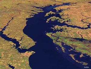 Aerial image of Bay