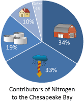 Pie graph of nitrogen sources