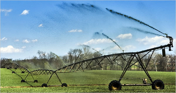 A field irrigation system