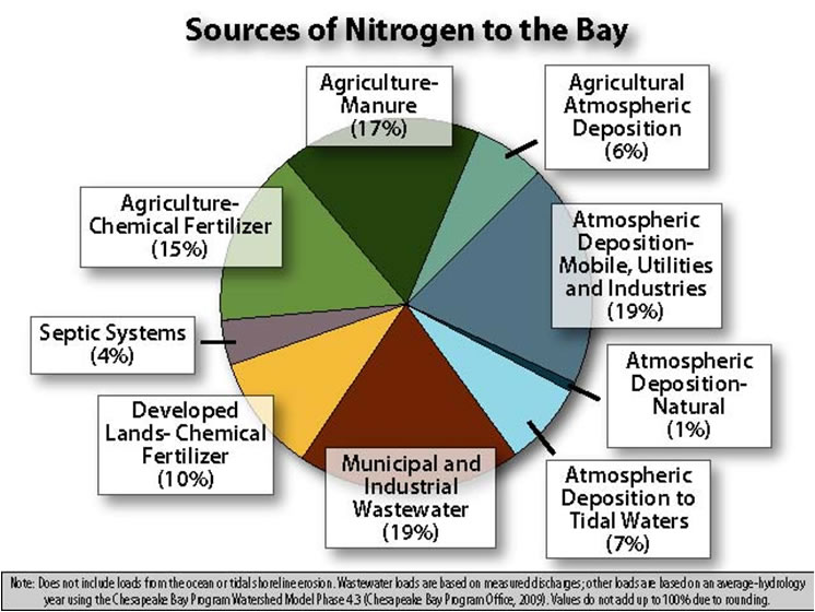 nitrogen