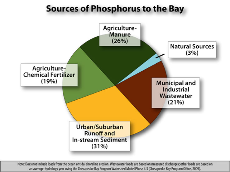 phosphorous